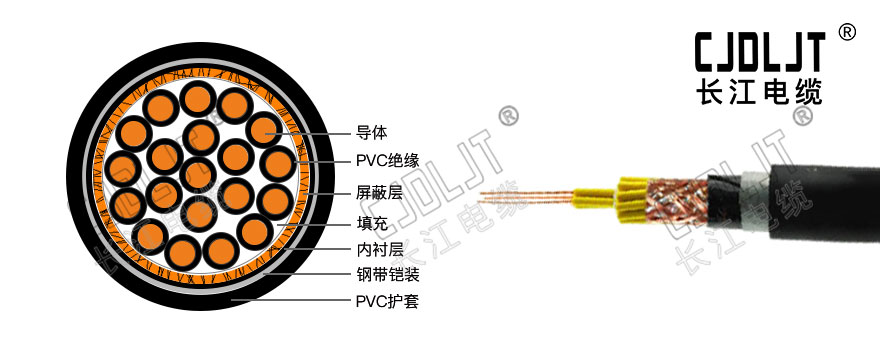 ZC-KVVP22,kvvp,控制电缆,铠装电缆,阻燃电缆,河南长江电缆